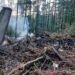 Какие тайны унес с собой Ан-24, разбившийся в Тынде