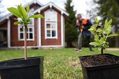 Россиян предупредили о штрафе за ремонт авто на даче