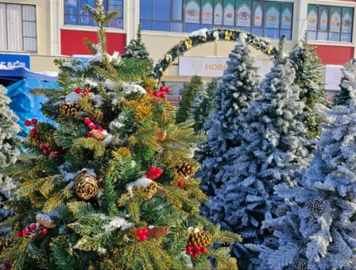Где лучше всего купить елку в Алматы