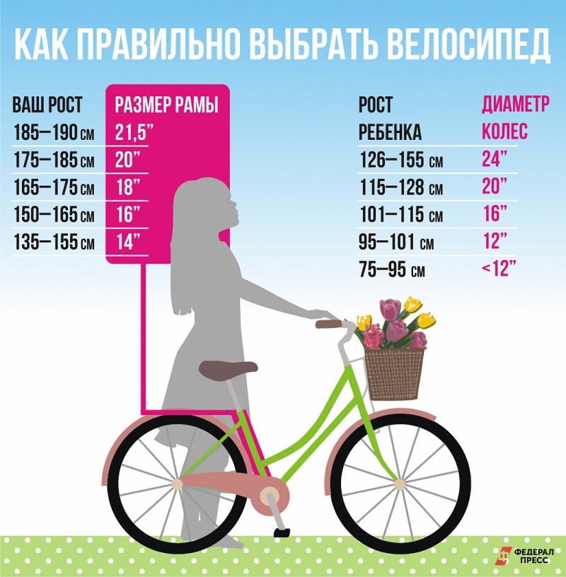 Как правильно выбрать велосипед