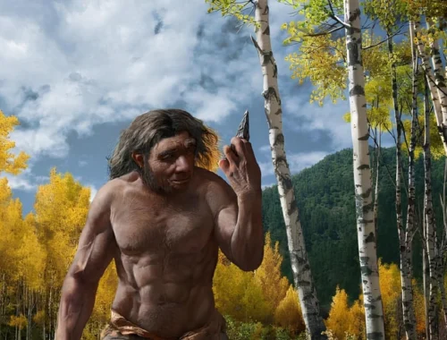 Один череп пролил свет на происхождение Homo longi и денисовцев — ему миллион лет