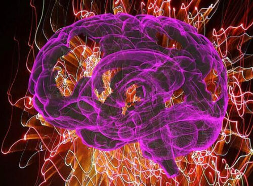 Названа самая полезная ягода для мозга