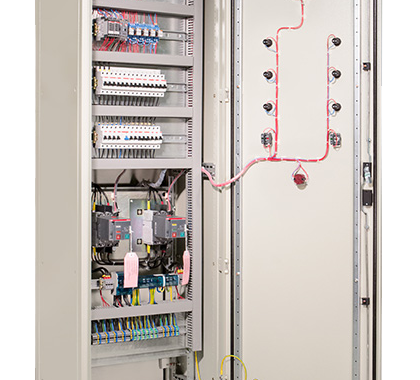 Что такое щавр и его свойства