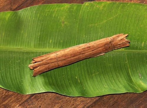 Ученые озвучили природный способ остановить порчу продуктов Ученые озвучили природный способ остановить порчу продуктов