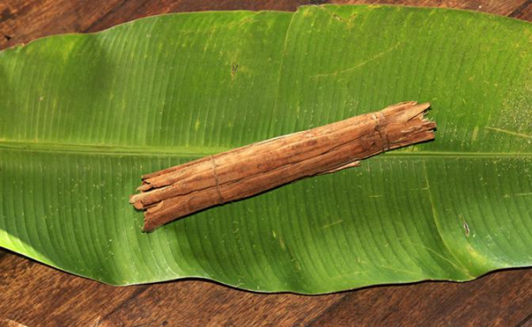 Ученые озвучили природный способ остановить порчу продуктов