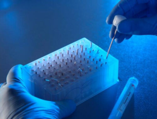 Ученые: обычный витамин способен замедлить рост раковых клеток Ученые: обычный витамин способен замедлить рост раковых клеток