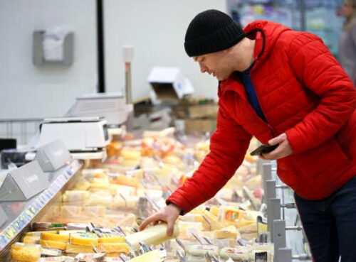 Ученый рассказал, какой плесневелый сыр можно есть без вреда для здоровья Ученый рассказал, какой плесневелый сыр можно есть без вреда для здоровья