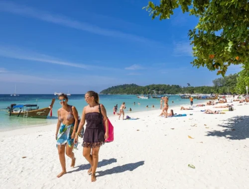 Больше 100 россиян депортировали из Таиланда в этом году: за что выдворяют из «рая»? Больше 100 россиян депортировали из Таиланда в этом году: за что выдворяют из «рая»?