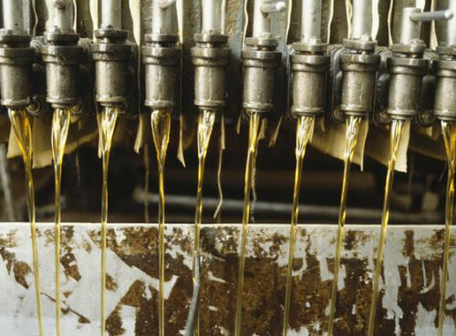 Озвучена главная опасность пальмового масла Озвучена главная опасность пальмового масла