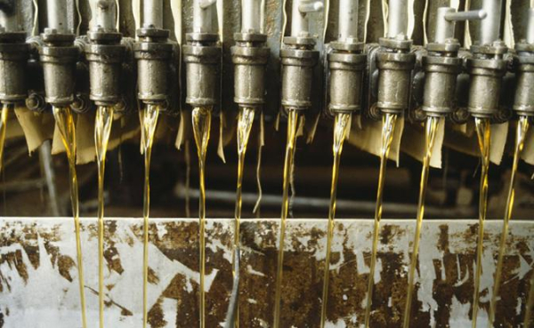 Озвучена главная опасность пальмового масла