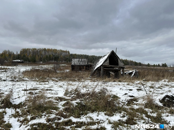 «Это место само по себе опасное»: в Красноярском крае 6-й день ищут пропавшую в тайгу семью Усольцевых — фото