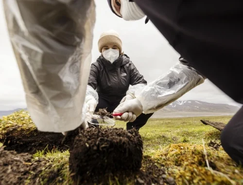 Холодильное хранилище: как на арктическом архипелаге в промерзшей почве может сохраняться скрытая история вирусов