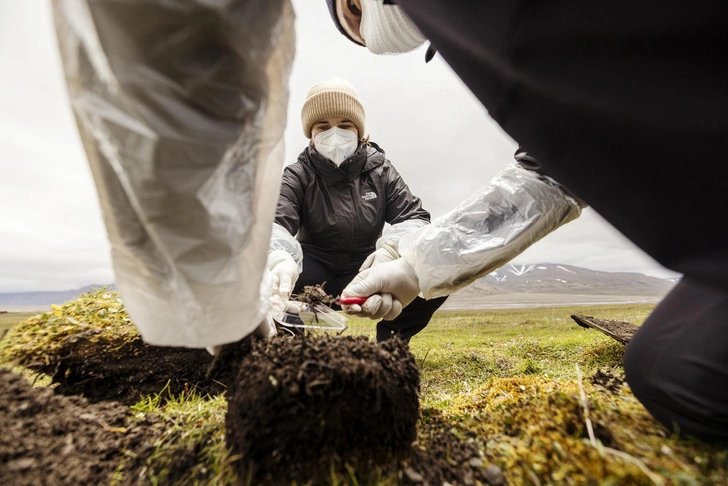 Холодильное хранилище: как на арктическом архипелаге в промерзшей почве может сохраняться скрытая история вирусов