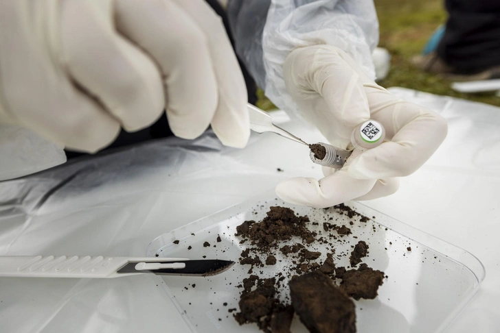 Холодильное хранилище: как на арктическом архипелаге в промерзшей почве может сохраняться скрытая история вирусов