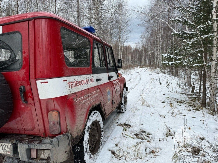 «Костер последней надежды», «сапог», «след медведя»: как ищут пропавшую семью Усольцевых в тайге на юге Красноярского края
