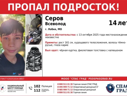 «Лежали на путях два ботинка»: в Подмосковье две недели ищут 14-летнего зацепера Всеволода из Лобни «Лежали на путях два ботинка»: в Подмосковье две недели ищут 14-летнего зацепера Всеволода из Лобни