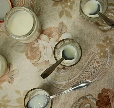 Мишленовский ресторан в Дании придумал «муравьиный йогурт»: способ приготовления вас удивит