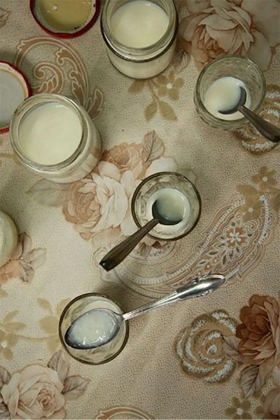 Мишленовский ресторан в Дании придумал «муравьиный йогурт»: способ приготовления вас удивит