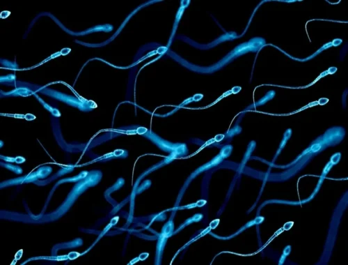 Мужская ДНК стареет: учёные выяснили, как возраст отцов влияет на здоровье будущих детей Мужская ДНК стареет: учёные выяснили, как возраст отцов влияет на здоровье будущих детей