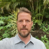 🐳На китовых кладбищах в Тихом океане не нашли червей-зомби, и это плохо, говорят морские биологи