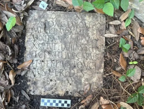 На заднем дворе дома в Новом Орлеане обнаружили надгробие римского солдата. Как оно там оказалось? На заднем дворе дома в Новом Орлеане обнаружили надгробие римского солдата. Как оно там оказалось?