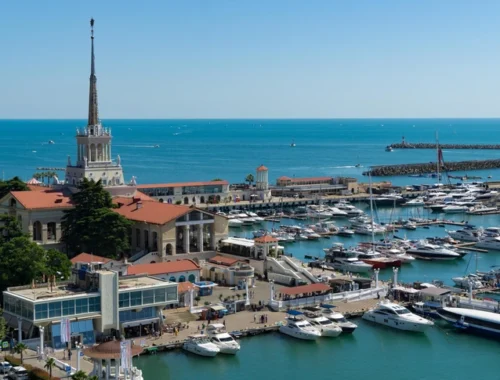 Не нужен нам овощ турецкий. Почему власти Сочи уже 14 лет сопротивляются запуску парома из Трабзона Не нужен нам овощ турецкий. Почему власти Сочи уже 14 лет сопротивляются запуску парома из Трабзона