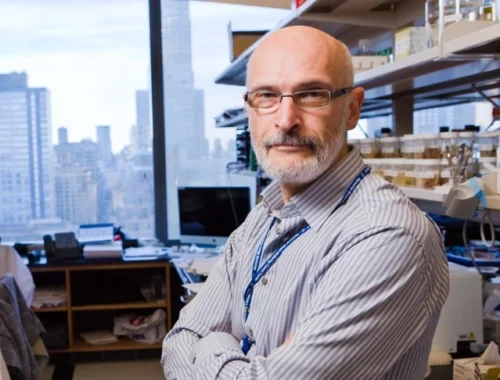 Опоздал на месяц: нобелевскую премию по медицине мог получить работающий в США иммунолог из России