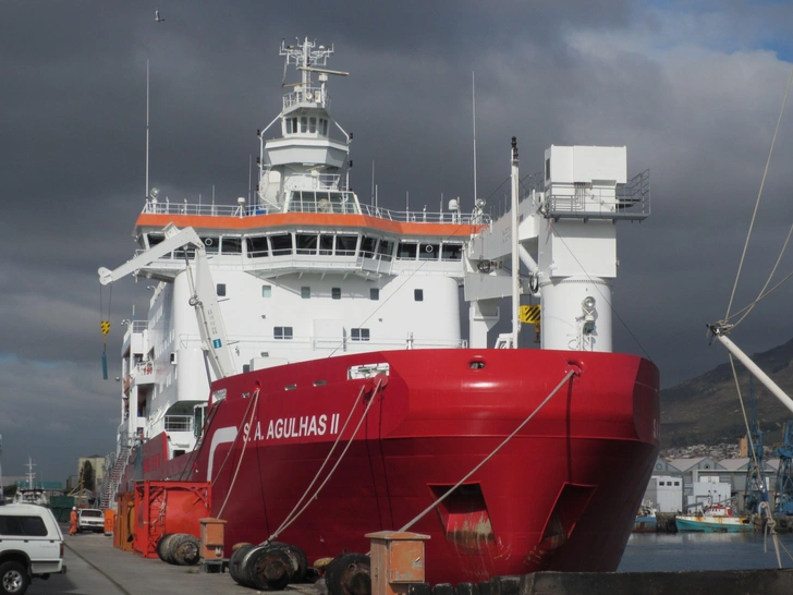 Подводный робот нашел «рыбий роддом» на 1000 «коек» на дне моря Уэдделла: вот как это выглядит