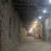 Разбудили Лихо? Ученые воскресили микробы, застрявшие в вечной мерзлоте на тысячи лет
