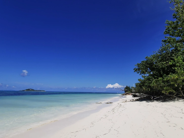 Россияне установили новый рекорд по люксовому островному отдыху: Мальдивы штурмуют отметку в 250 тысяч туристов