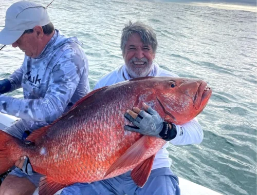 Рыбак поймал на панамском курорте луциан-куберу длиной 126 см: это тянет на мировой рекорд (фото)