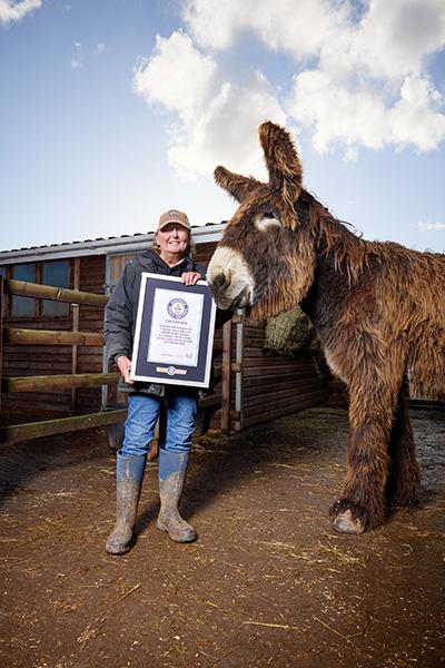Самый высокий в мире осел живет на полную катушку вместе со своим другом с рекордно большими ушами. Полюбуйтесь на эту парочку