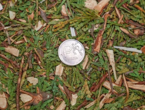 💸 Стало известно, сколько наличных держит при себе средний россиянин 💸 Стало известно, сколько наличных держит при себе средний россиянин