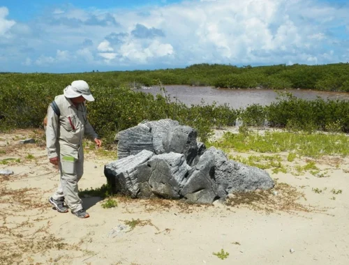 Ученые разгадали тайну выброшенных на берег коралловых валунов в Карибском море Ученые разгадали тайну выброшенных на берег коралловых валунов в Карибском море