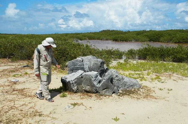 Ученые разгадали тайну выброшенных на берег коралловых валунов в Карибском море