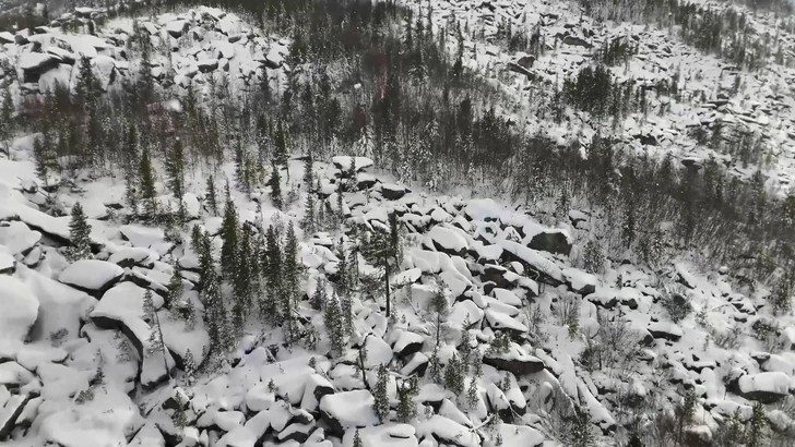 Укрылись у старообрядцев или попали к сектантам: новые версии загадочного исчезновения Усольцевых и свежее видео с поисков