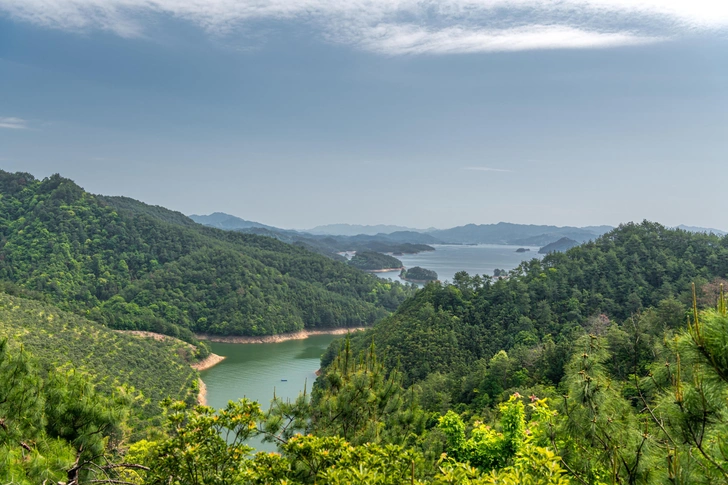 35 дней в дикой природе: китаянка прошла убийственный челлендж — что с ней стало