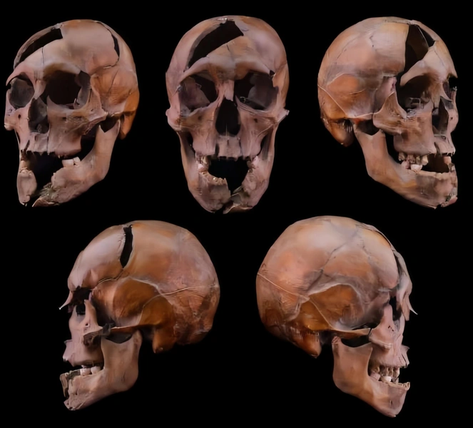 Что ел, как жил и кем был убит: раскрыто дело средневекового герцога из династий Арпадов и Рюриковичей