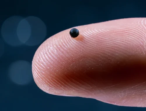 Доставка лекарств: крошечных роботов придумали запускать в кровь. Что это сделало с овцами и свиньями? Доставка лекарств: крошечных роботов придумали запускать в кровь. Что это сделало с овцами и свиньями?