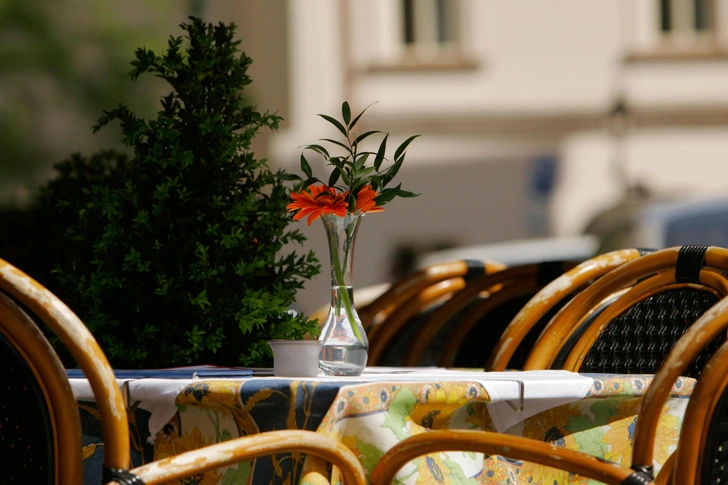 «Эффект путешественника»: отзывы туристов завышают рейтинги ресторанов по всему миру