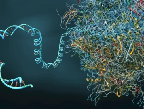 Исправить генетическую «бессмыслицу»: ученые придумали универсальный инструмент для редактирования ДНК
