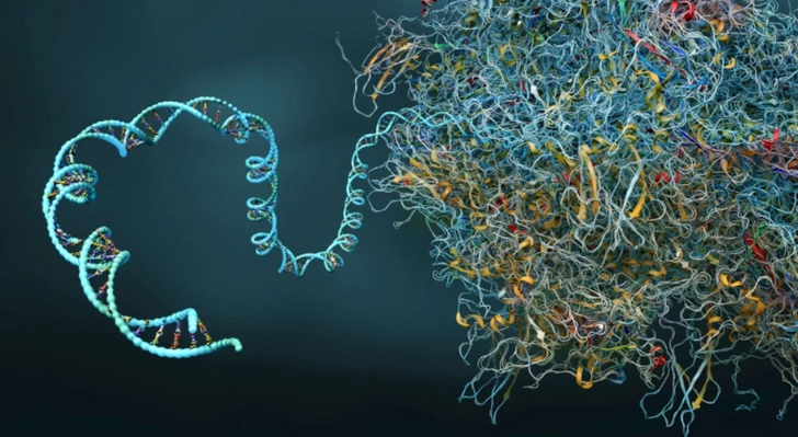 Исправить генетическую «бессмыслицу»: ученые придумали универсальный инструмент для редактирования ДНК