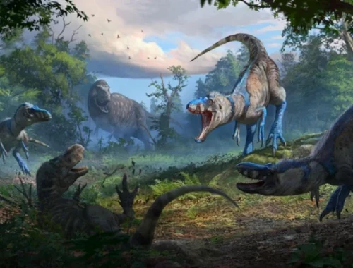 Я вам не подросток! Известная окаменелость «маленького тираннозавра» на самом деле принадлежит другому виду