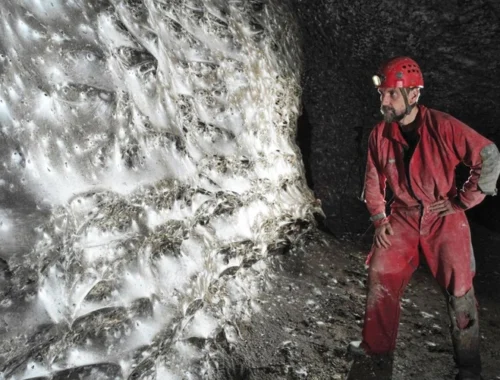 Как три хрущевки: балканские пауки сплели самую большую паутину на Земле и живут там в мире и согласии Как три хрущевки: балканские пауки сплели самую большую паутину на Земле и живут там в мире и согласии