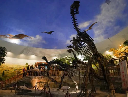 Мальчик или девочка? Ученые придумали определять пол динозавров по травмам после спаривания