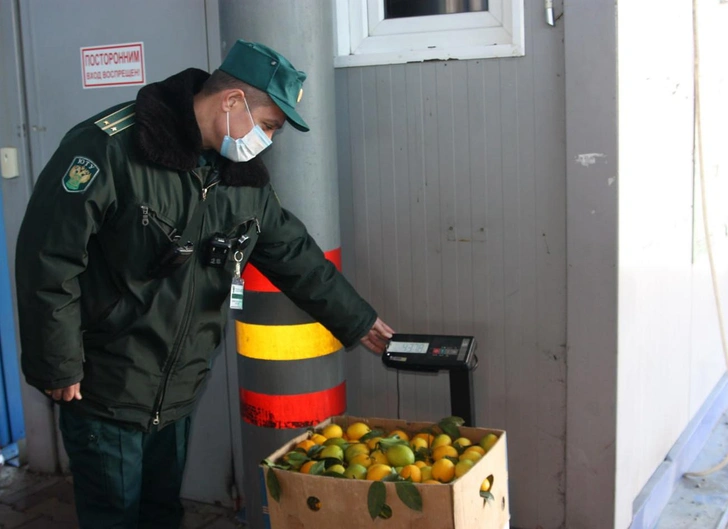 Наесться хватит. Сколько мандаринов можно вывезти из Абхазии без пошлины?