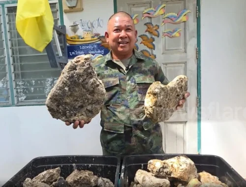 Офицер из Таиланда продает 55 кг затвердевшей рвоты кашалота. Просит миллион батов, но она явно дороже Офицер из Таиланда продает 55 кг затвердевшей рвоты кашалота. Просит миллион батов, но она явно дороже