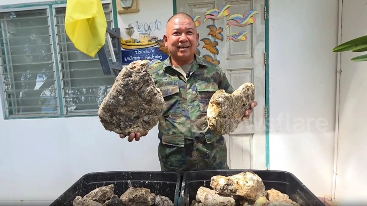 Офицер из Таиланда продает 55 кг затвердевшей рвоты кашалота. Просит миллион батов, но она явно дороже