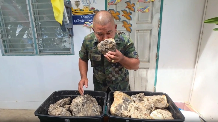 Офицер из Таиланда продает 55 кг затвердевшей рвоты кашалота. Просит миллион батов, но она явно дороже