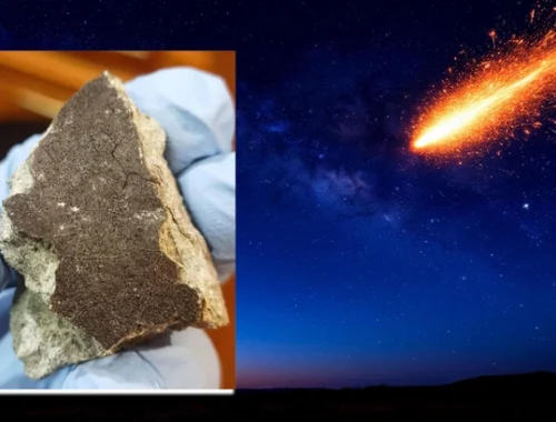 Разбросало по лесам и болотам: ученые показали обломки метеорита, пролетевшего над Севером России